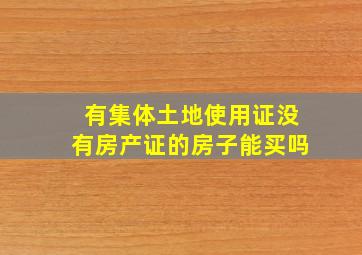 有集体土地使用证没有房产证的房子能买吗