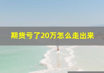 期货亏了20万怎么走出来