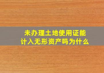 未办理土地使用证能计入无形资产吗为什么