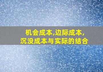 机会成本,边际成本,沉没成本与实际的结合