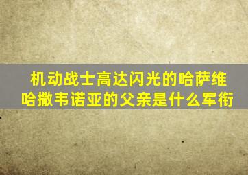 机动战士高达闪光的哈萨维哈撒韦诺亚的父亲是什么军衔