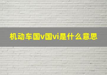 机动车国v国vi是什么意思