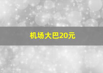 机场大巴20元