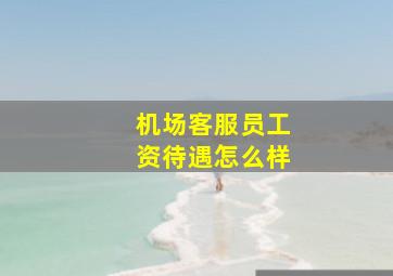 机场客服员工资待遇怎么样