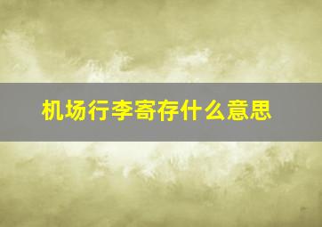 机场行李寄存什么意思