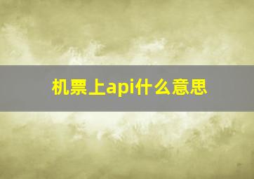 机票上api什么意思