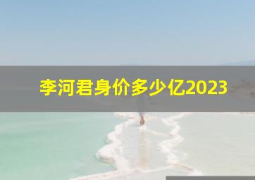 李河君身价多少亿2023