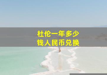 杜伦一年多少钱人民币兑换