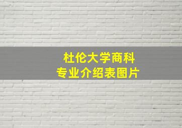 杜伦大学商科专业介绍表图片