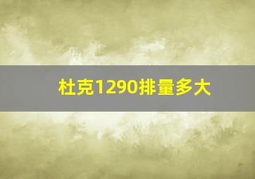 杜克1290排量多大