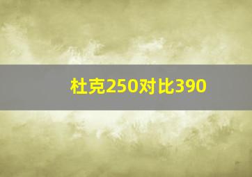 杜克250对比390