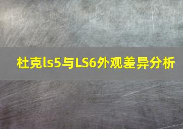 杜克ls5与LS6外观差异分析