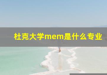 杜克大学mem是什么专业