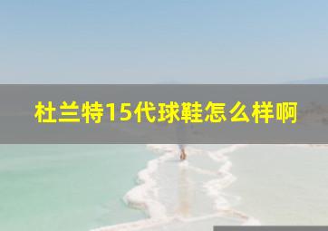 杜兰特15代球鞋怎么样啊