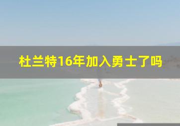 杜兰特16年加入勇士了吗