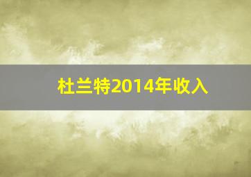 杜兰特2014年收入