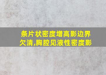 条片状密度增高影边界欠清,胸腔见液性密度影