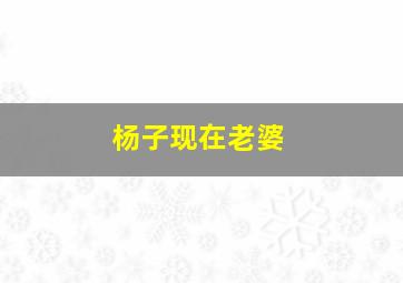 杨子现在老婆