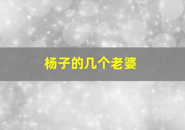 杨子的几个老婆