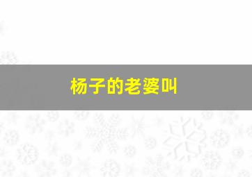 杨子的老婆叫