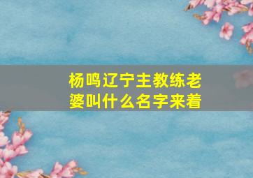 杨鸣辽宁主教练老婆叫什么名字来着