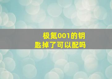 极氪001的钥匙掉了可以配吗