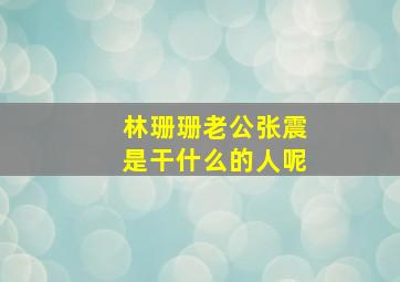 林珊珊老公张震是干什么的人呢