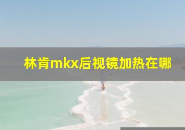 林肯mkx后视镜加热在哪