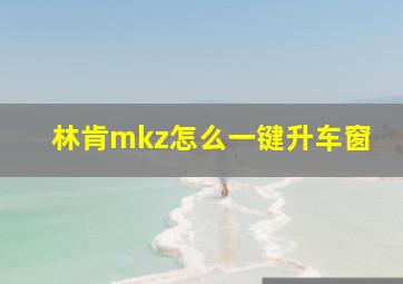 林肯mkz怎么一键升车窗