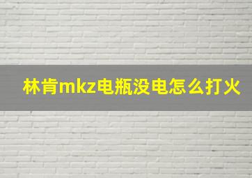 林肯mkz电瓶没电怎么打火