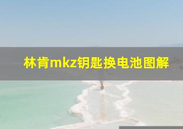 林肯mkz钥匙换电池图解