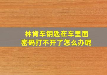 林肯车钥匙在车里面密码打不开了怎么办呢