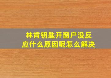 林肯钥匙开窗户没反应什么原因呢怎么解决