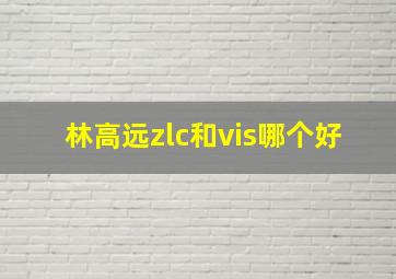 林高远zlc和vis哪个好