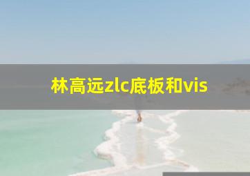 林高远zlc底板和vis