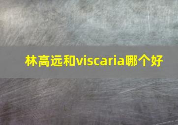 林高远和viscaria哪个好