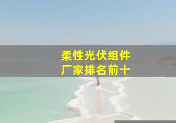 柔性光伏组件厂家排名前十