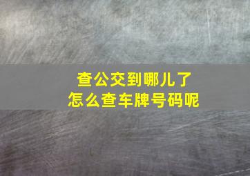 查公交到哪儿了怎么查车牌号码呢