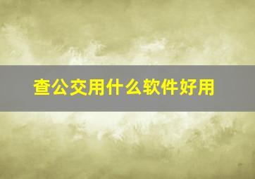 查公交用什么软件好用