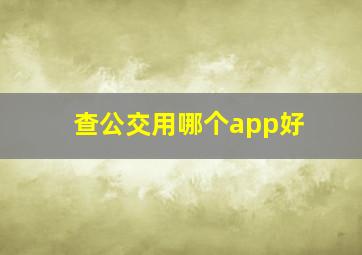 查公交用哪个app好