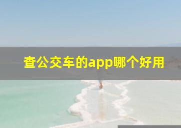 查公交车的app哪个好用