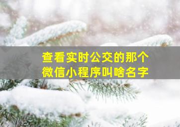 查看实时公交的那个微信小程序叫啥名字