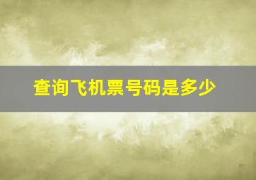 查询飞机票号码是多少