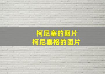 柯尼塞的图片柯尼塞格的图片