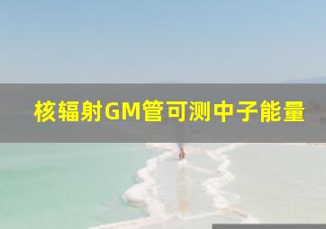 核辐射GM管可测中子能量