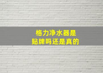 格力净水器是贴牌吗还是真的