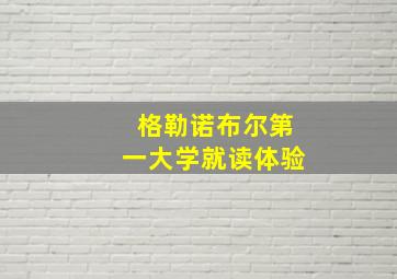 格勒诺布尔第一大学就读体验