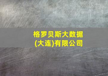 格罗贝斯大数据(大连)有限公司