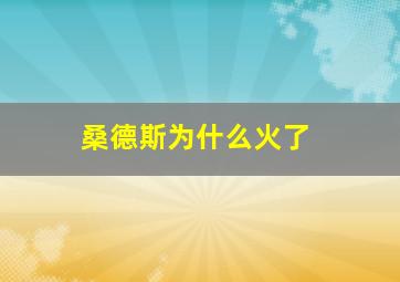 桑德斯为什么火了