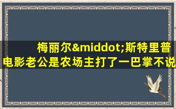 梅丽尔·斯特里普电影老公是农场主打了一巴掌不说话